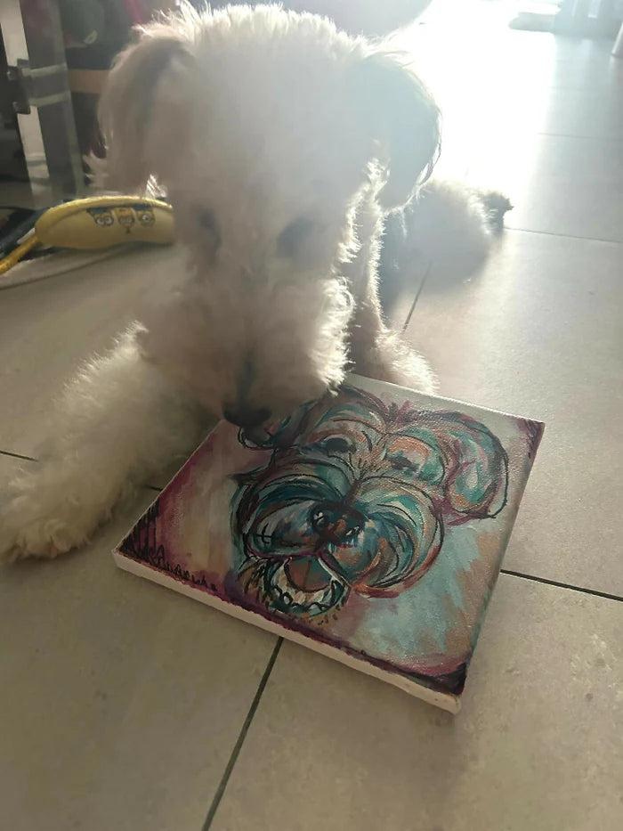 Special Moments Bundle Pack