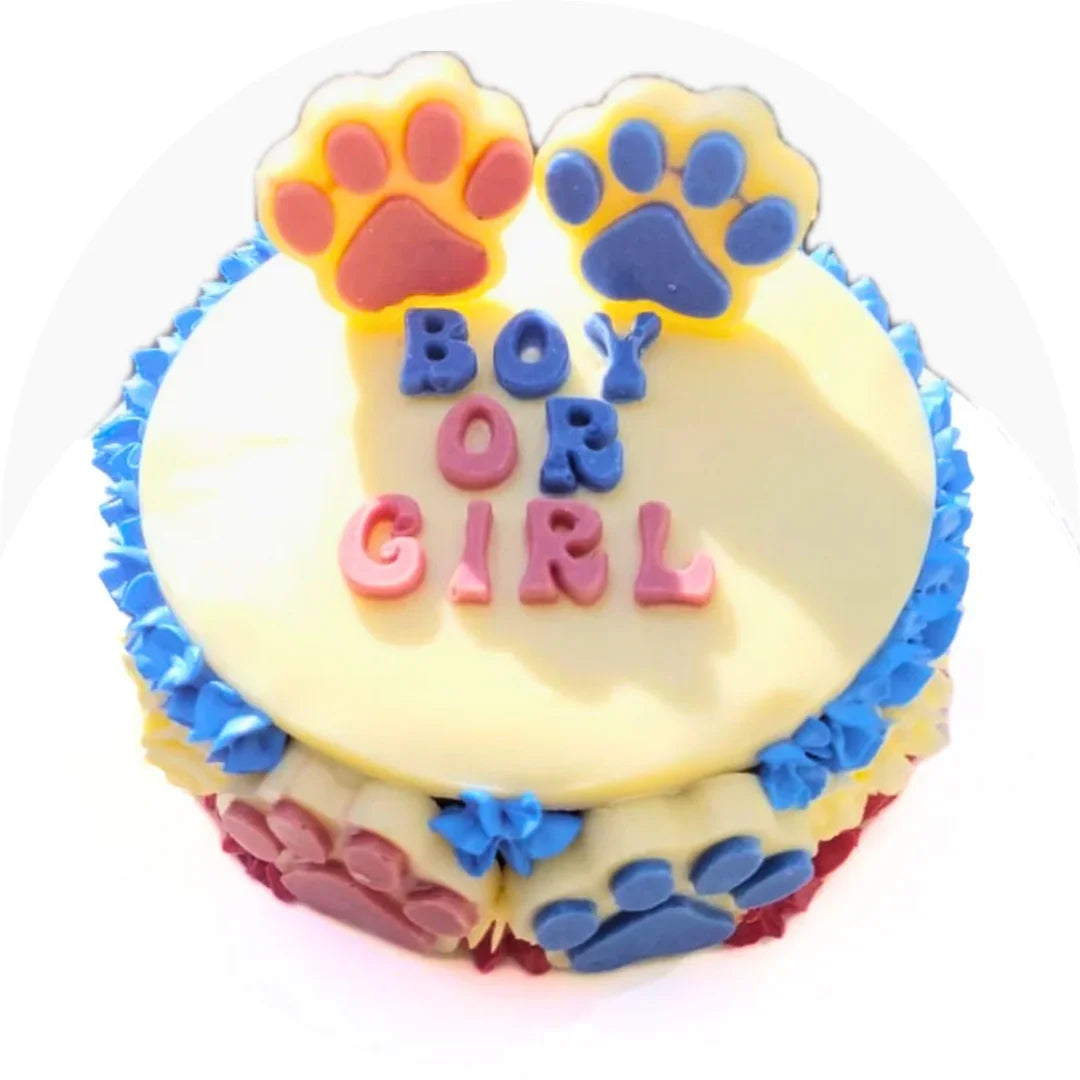 Cake with 'Boy or Girl' text and paw prints on a white background