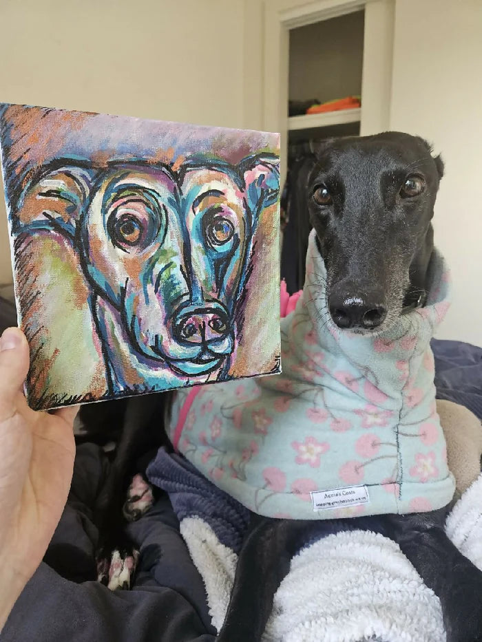 Special Moments Bundle Pack